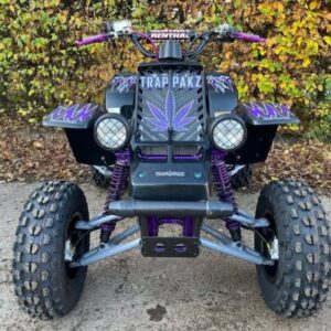 Yamaha Banshee 350cc 2010