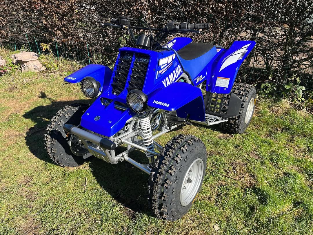 Yamaha Banshee 350 2009 - Image 2