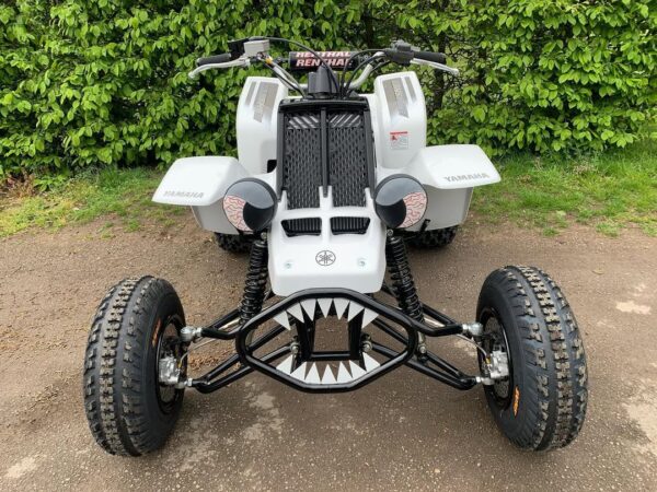 Yamaha Banshee 350cc 1995 - Image 3