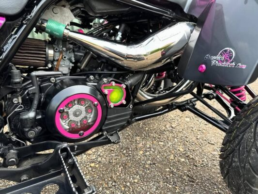 Yamaha Banshee 2004 - Image 6